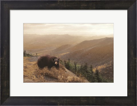 Framed Bear Country Print