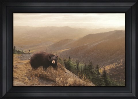 Framed Bear Country Print