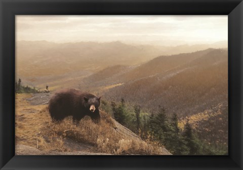 Framed Bear Country Print