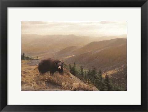 Framed Bear Country Print