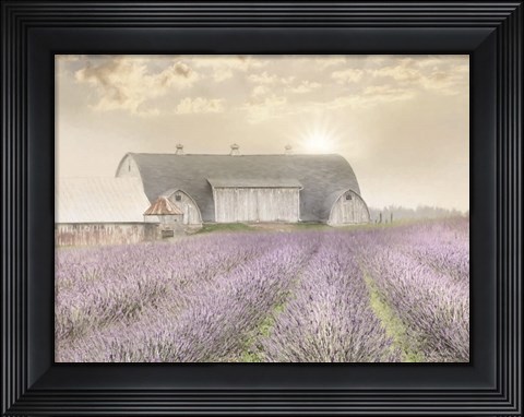 Framed Lavender Morning Print