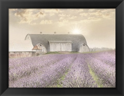 Framed Lavender Morning Print