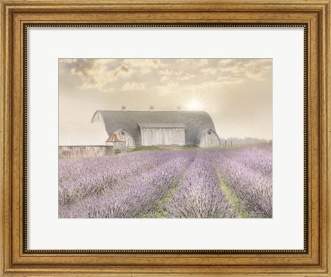 Framed Lavender Morning Print