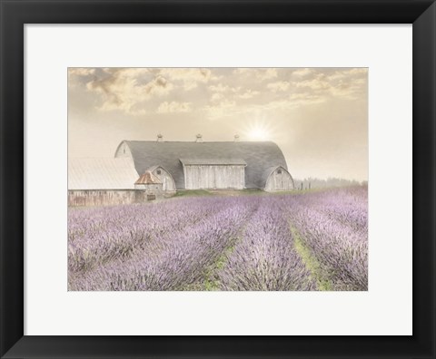 Framed Lavender Morning Print