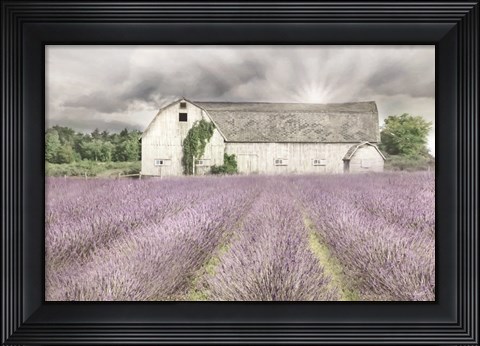 Framed Shades of Lavender and Gray Print