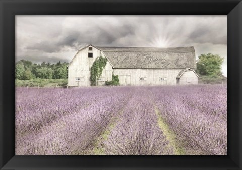 Framed Shades of Lavender and Gray Print