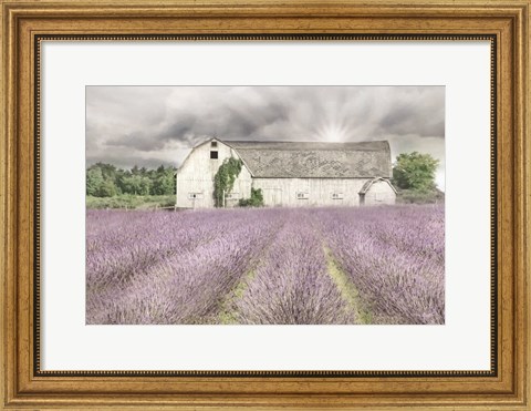 Framed Shades of Lavender and Gray Print