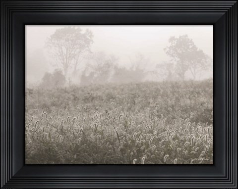 Framed Dreamy Field Print