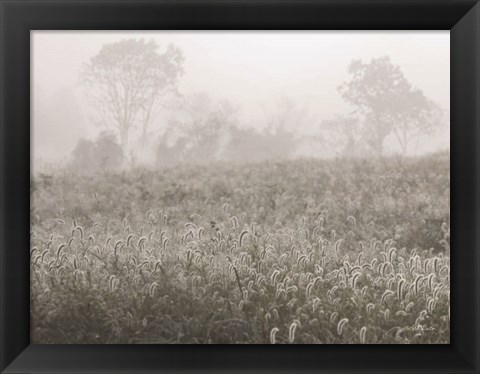 Framed Dreamy Field Print