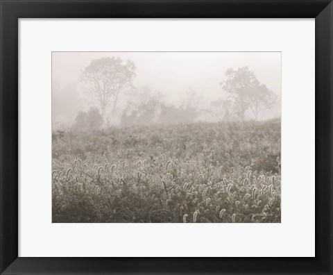 Framed Dreamy Field Print