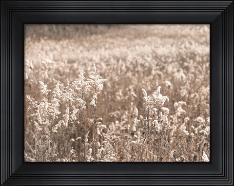 Framed Fall Field Print