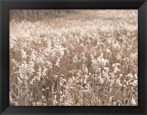 Framed Fall Field Print