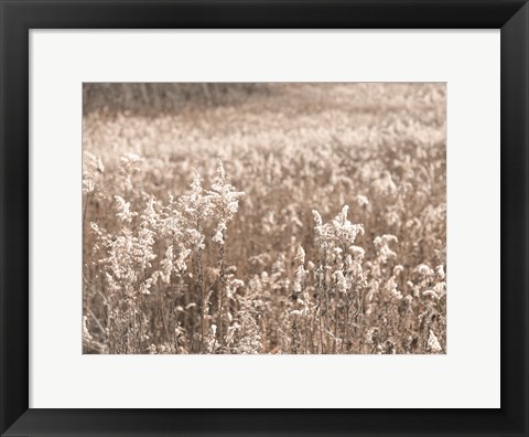 Framed Fall Field Print