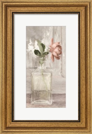 Framed Cottage Peach Rose Print