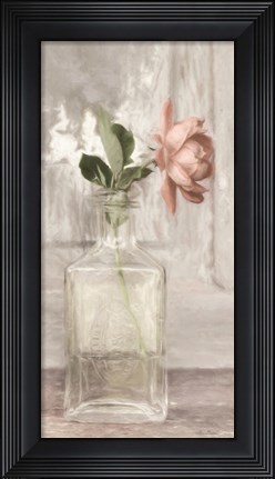 Framed Cottage Peach Rose Print