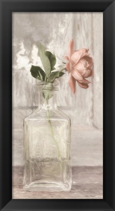 Framed Cottage Peach Rose Print