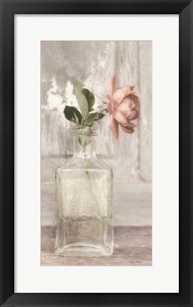 Framed Cottage Peach Rose Print