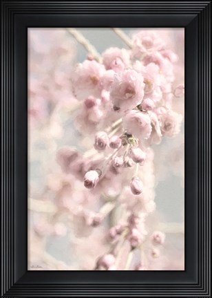 Framed Weeping Cherry Print