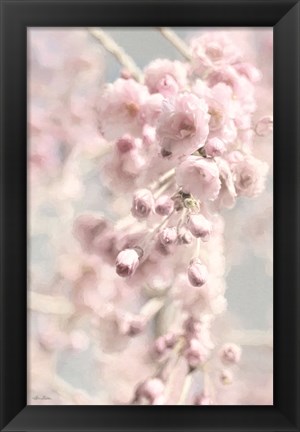 Framed Weeping Cherry Print