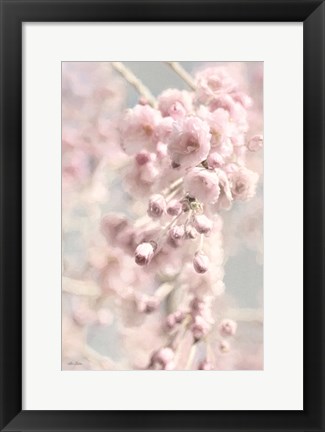Framed Weeping Cherry Print