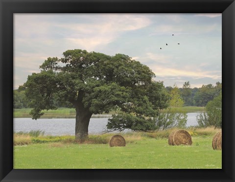 Framed Summer Hay Harvest Print