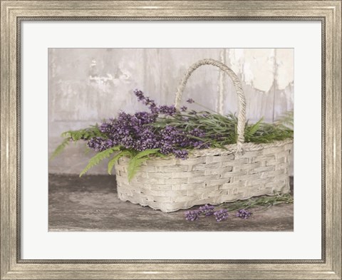 Framed My Lavender Print