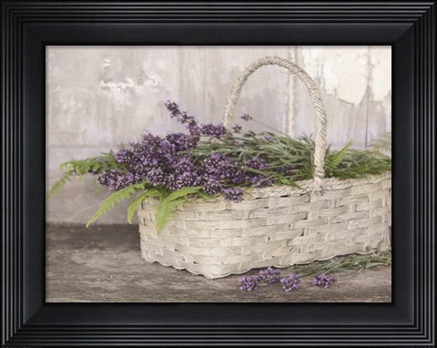 Framed My Lavender Print