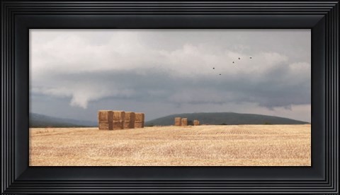 Framed Stormy Day Harvest I Print