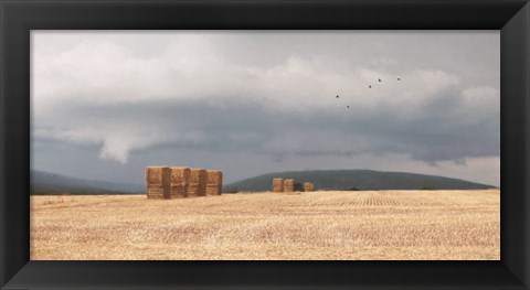 Framed Stormy Day Harvest I Print