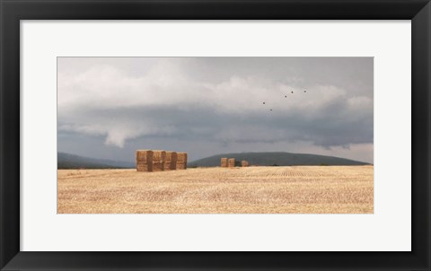 Framed Stormy Day Harvest I Print