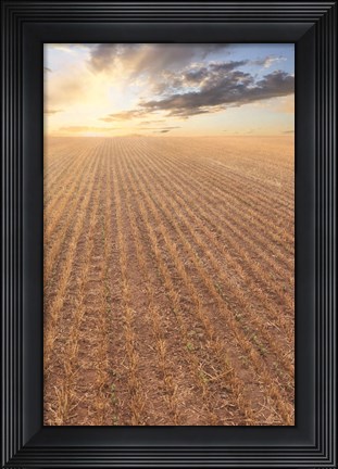 Framed It&#39;s a New Day Print