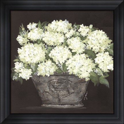 Framed Snowball Hydrangea Pail Print