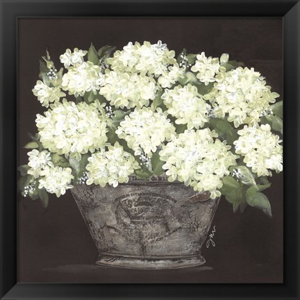 Framed Snowball Hydrangea Pail Print