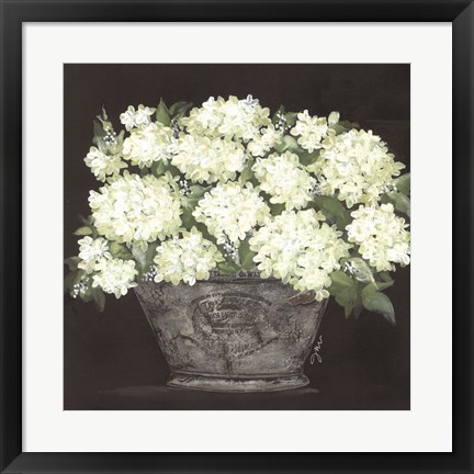 Framed Snowball Hydrangea Pail Print