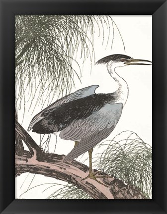 Framed Perched Heron Print