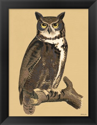 Framed Great Owl Print