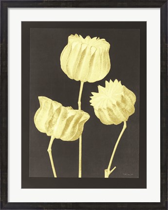 Framed Forms in Nature 1 Print