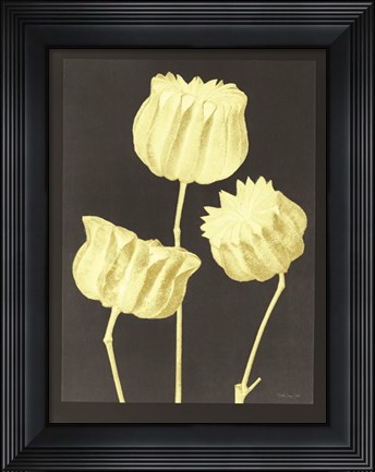 Framed Forms in Nature 1 Print
