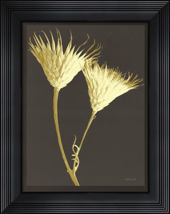 Framed Forms in Nature 2 Print