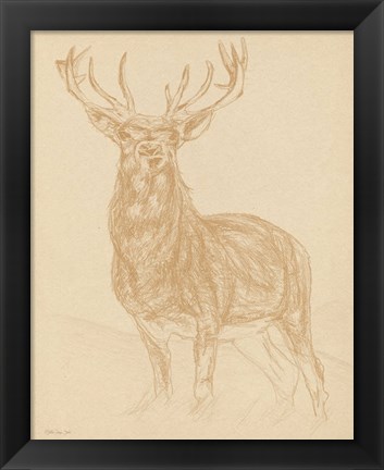 Framed Buck Sketch Print
