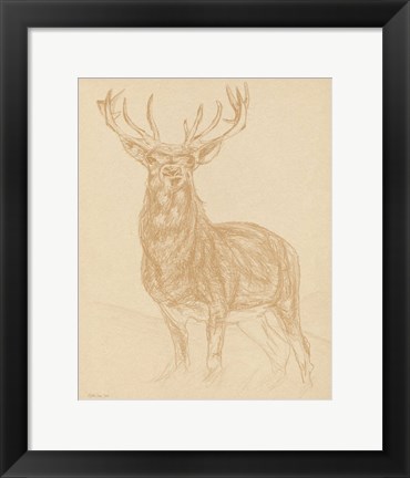 Framed Buck Sketch Print