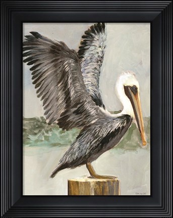 Framed Brown Pelican 2 Print