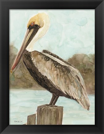 Framed Brown Pelican 3 Print