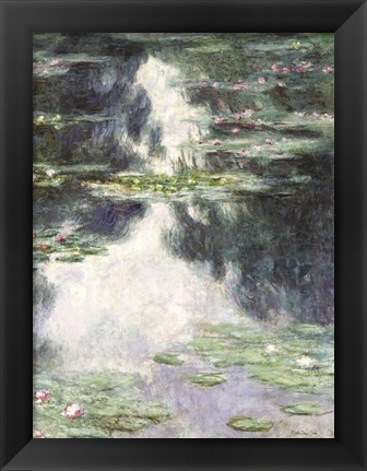 Framed Water Lilies Print