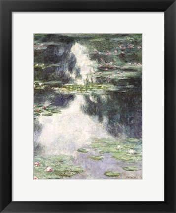 Framed Water Lilies Print
