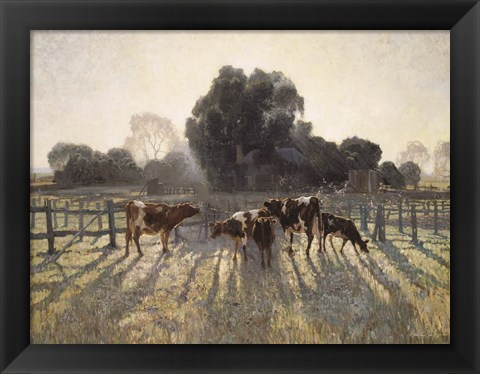 Framed Grazing Cows Print