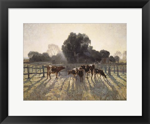 Framed Grazing Cows Print