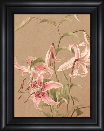 Framed Antique Botanical Collection 3 Print