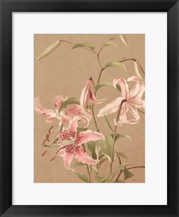 Framed Antique Botanical Collection 3 Print