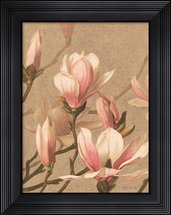 Framed Antique Botanical Collection 4 Print